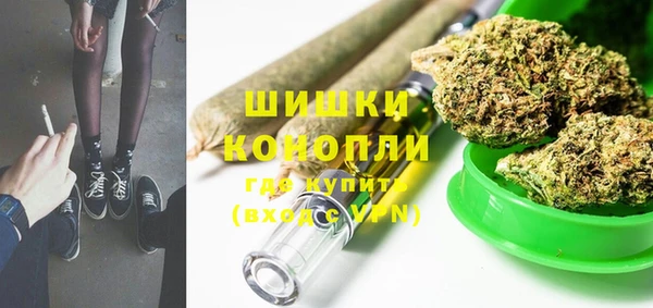 шишки Алексин