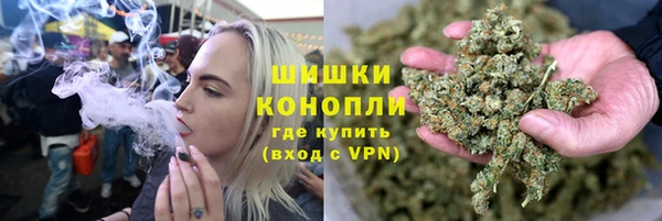 шишки Алексин