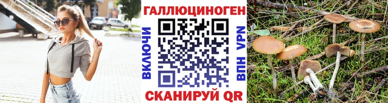 Псилоцибиновые грибы мицелий Лянтор